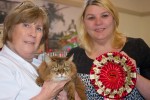 Overall Best in Show UK & Imperial Grand Champion & Imperial Grand Premier Brizlincoat Toomai with her owner Emma Watts & Judge Alison Lyall